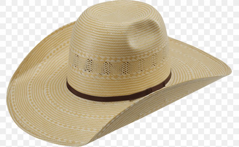 Sun Hat, PNG, 1200x738px, Sun Hat, Fashion Accessory, Hat, Headgear, Sun Download Free