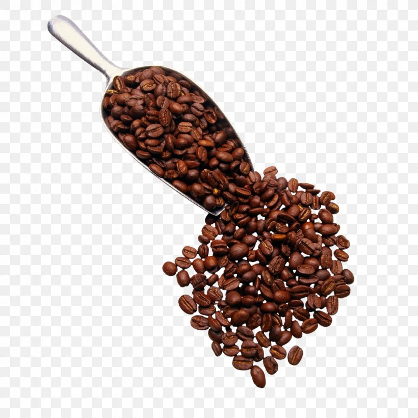 Coffee Espresso Tea Cappuccino Cafe, PNG, 1240x1240px, Coffee, Azuki Bean, Brewed Coffee, Cafe, Cappuccino Download Free