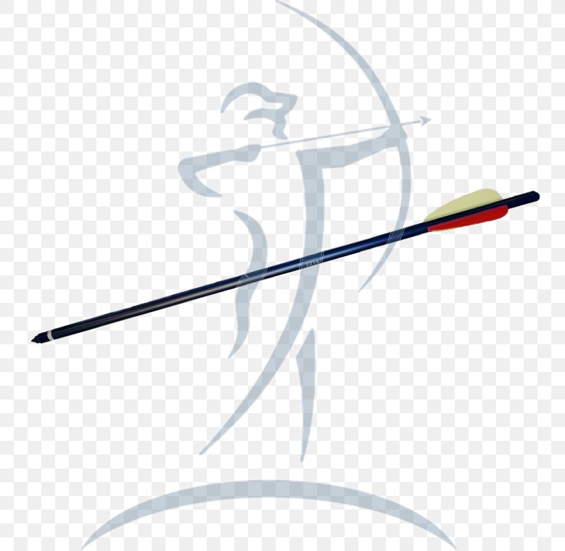 Crossbow Archery Bogentandler GmbH Ranged Weapon, PNG, 800x800px, Crossbow, Angle Grinder, Archery, Bogentandler Gmbh, Bow Download Free