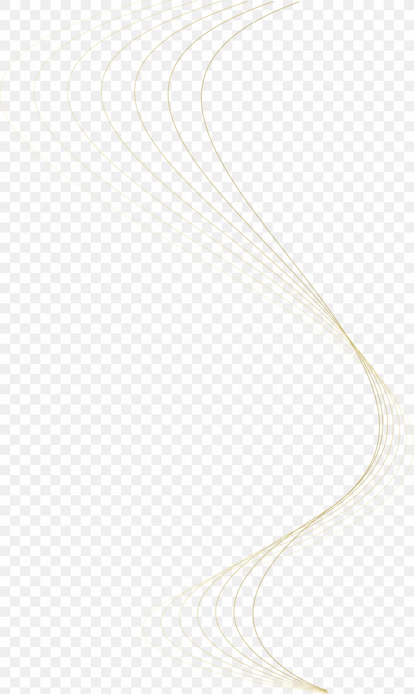 Line, PNG, 1615x2706px,  Download Free