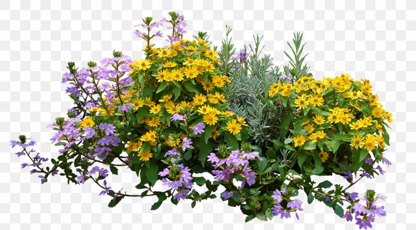 Shrub Flower Image Plants, PNG, 2391x1323px, Shrub, Annual Plant, Bougainvillea, Buddleia, Cut Flowers Download Free