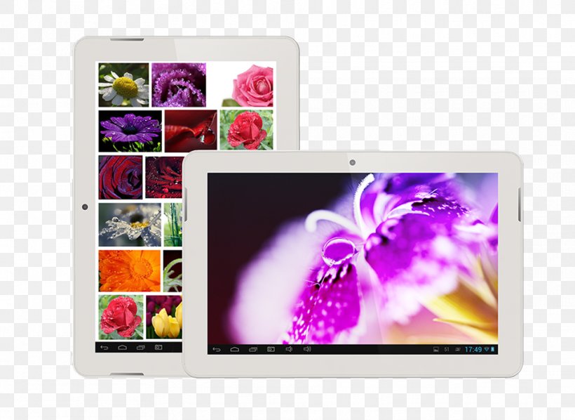 Technology Multimedia, PNG, 962x702px, Technology, Flower, Magenta, Multimedia, Petal Download Free