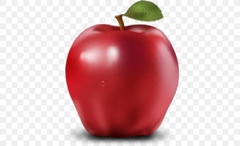 Apple Clip Art, PNG, 500x499px, Apple, Accessory Fruit, Acerola, Acerola Family, Cranberry Download Free