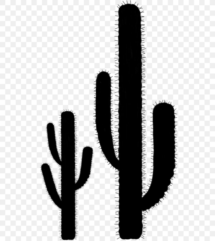 Font Line, PNG, 538x918px, Saguaro, Cactus, Flower, Plant, Succulent Plant Download Free