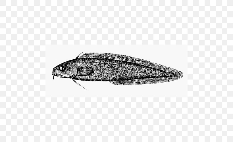 Invertebrate White Fish, PNG, 500x500px, Invertebrate, Black And White, Fish, Organism, White Download Free