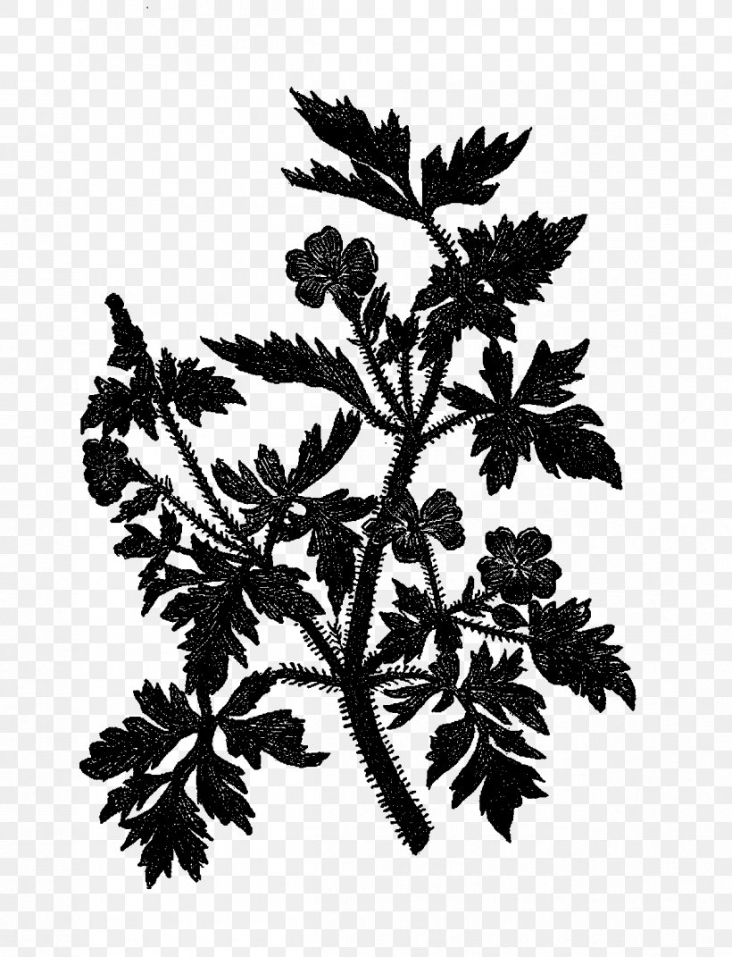 Pattern Leaf, PNG, 1198x1565px, Leaf, Blackandwhite, Botany, Branch, Flower Download Free