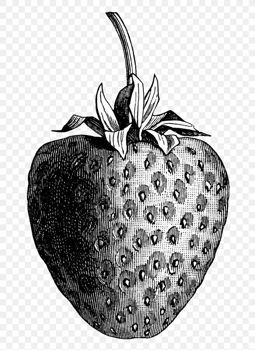 Wild Strawberry Strawberry Thief Shortcake Illustration, PNG, 736x1123px, Strawberry, Antique, Berry, Black And White, Fragaria Download Free