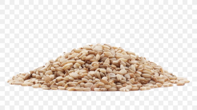 Cereal Germ Organic Food Seed, PNG, 1336x748px, Cereal Germ, Cereal, Commodity, Dinkel Wheat, Food Download Free