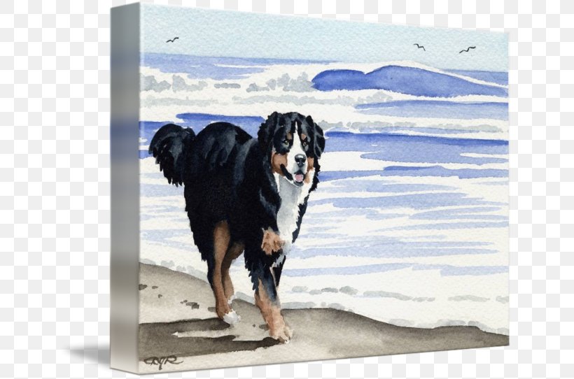 Dog Breed Bernese Mountain Dog Gallery Wrap Art, PNG, 650x542px, Dog Breed, Art, Bernese Mountain Dog, Breed, Canvas Download Free