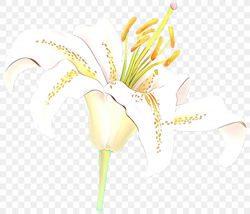 Floral Design Cut Flowers Plant Stem Desktop Wallpaper, PNG, 3000x2562px, Floral Design, Alismatales, Anthurium, Artificial Flower, Arum Download Free