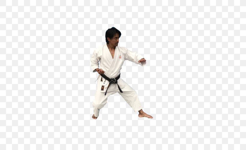Karate Gi Dobok Kaiten Tang Soo Do, PNG, 500x500px, Karate, Arm, Combat Sport, Dobok, Japanese Martial Arts Download Free