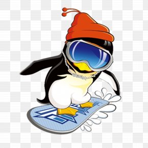 Skateboarding Penguin - Penguin Clip Art PNG