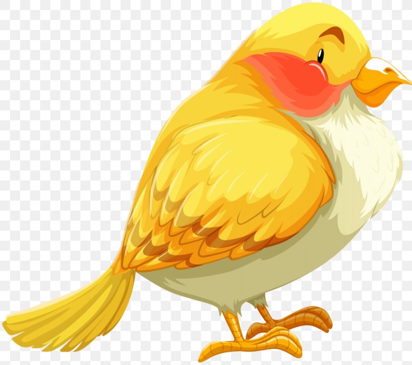 Clip Art Bird Illustration GIF, PNG, 1024x910px, Bird, Animation, Art, Beak, Cartoon Download Free