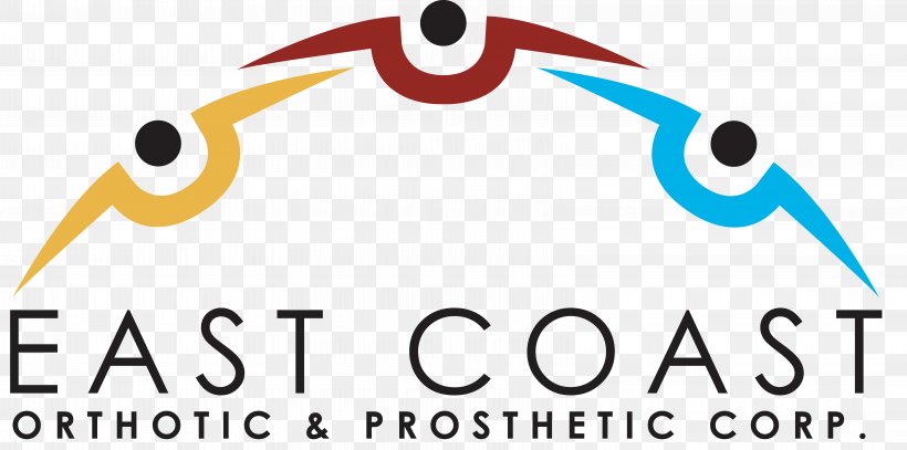East Coast Orthotic & Prosthetic Corp. Physical Therapy Orthotics 5K Run, PNG, 6486x3224px, 5k Run, Physical Therapy, Area, Bamboohr, Brand Download Free