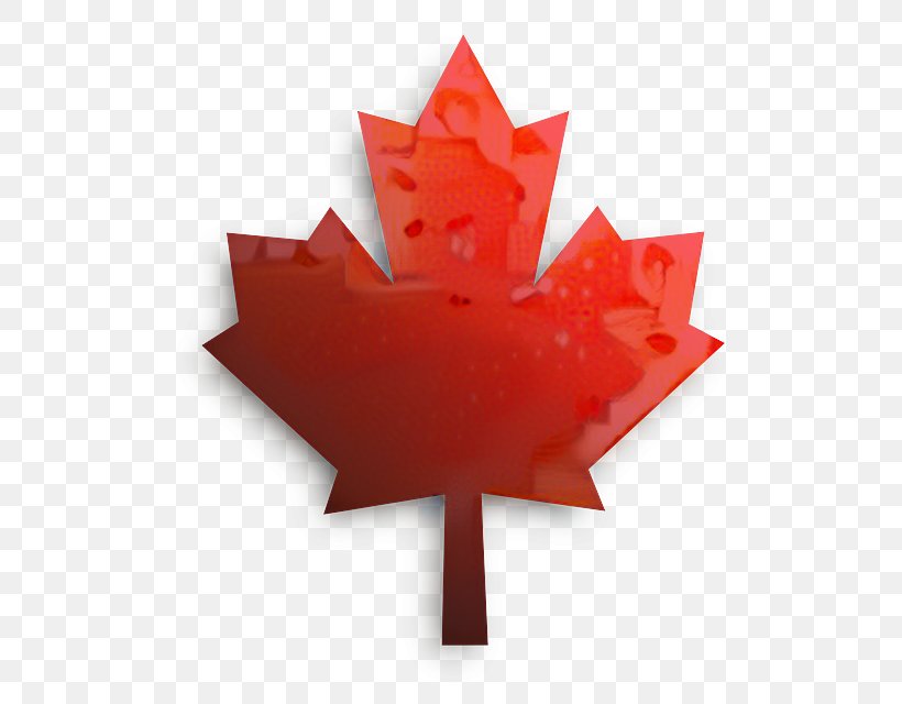 Flag Of Canada Desktop Wallpaper Image, PNG, 560x640px, Flag Of Canada, Canada, Canada Flag Patch, Flag, Flag Patch Download Free