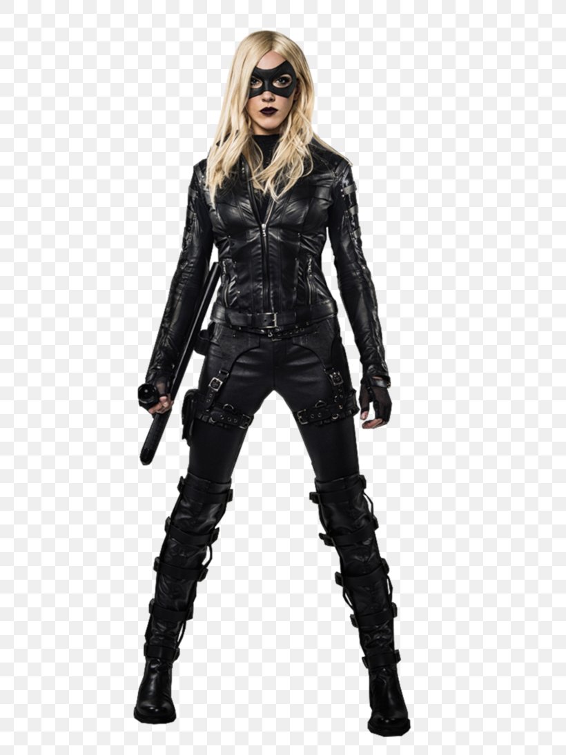 Green Arrow And Black Canary Green Arrow And Black Canary Sara Lance Costume, PNG, 730x1094px, Watercolor, Cartoon, Flower, Frame, Heart Download Free