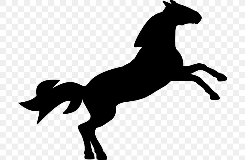 Horse Equestrian Show Jumping Clip Art, PNG, 700x535px, Horse, Black, Black And White, Carnivoran, Collection Download Free