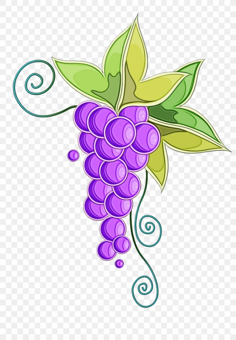Leaf Grape Violet Purple Plant, PNG, 889x1280px, Watercolor, Fruit, Grape, Grapevine Family, Leaf Download Free