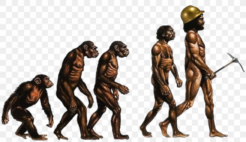 On The Origin Of Species Human Evolution Great Apes Recent African Origin Of Modern Humans, PNG, 863x500px, On The Origin Of Species, Abiogenesis, Anatomically Modern Human, Ape, Biology Download Free