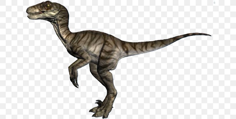 Velociraptor Yamaha Raptor 700R Tyrannosaurus Dinosaur, PNG, 700x415px, Velociraptor, Allosaurus, Allterrain Vehicle, Animal, Animal Figure Download Free