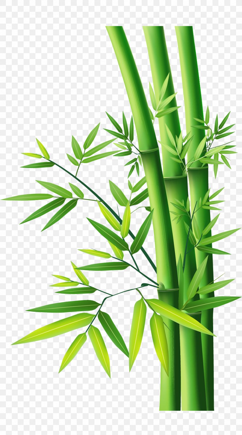 Bamboo, PNG, 1040x1870px, Bamboo, Bamboo Painting, Grass, Grass Family, Leaf Download Free