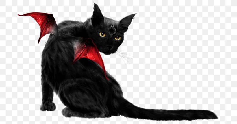 Bombay Cat Black Cat Maine Coon Domestic Short-haired Cat Whiskers, PNG, 699x429px, Bombay Cat, American Bobtail, American Shorthair, Black Cat, Bombay Download Free