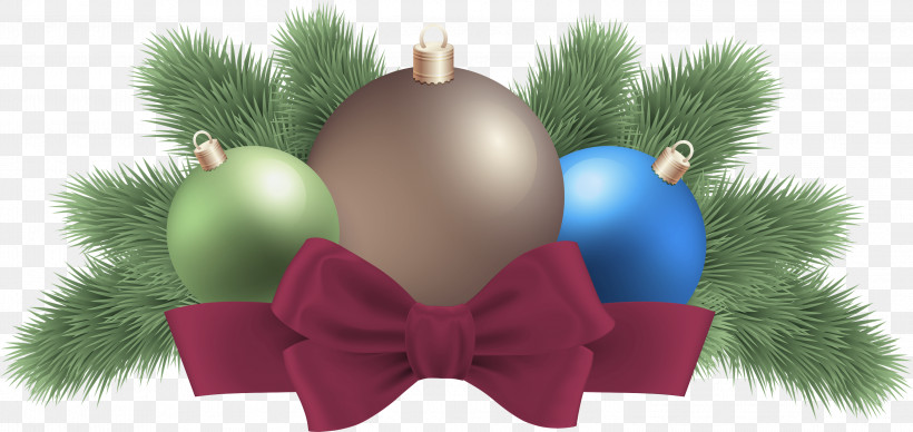 Christmas Ornament, PNG, 2999x1420px, Christmas Ornament, Christmas, Christmas Decoration, Christmas Tree, Fir Download Free