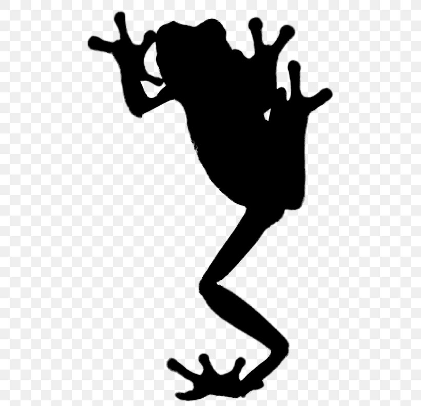 Clip Art Amphibians Human Behavior Shoe, PNG, 579x791px, Amphibians, Behavior, Human, Human Behavior, Recreation Download Free