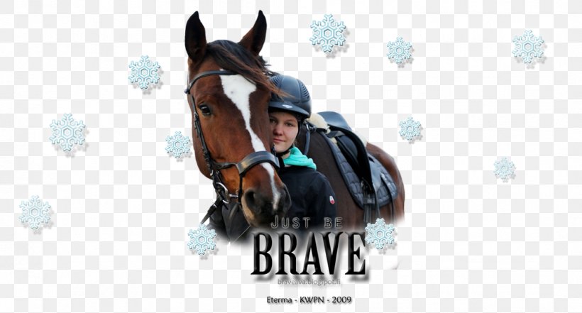 Rein Stallion Bridle Equestrian Horse Harnesses, PNG, 1068x575px, Rein, Brand, Bridle, Equestrian, Equestrian Sport Download Free