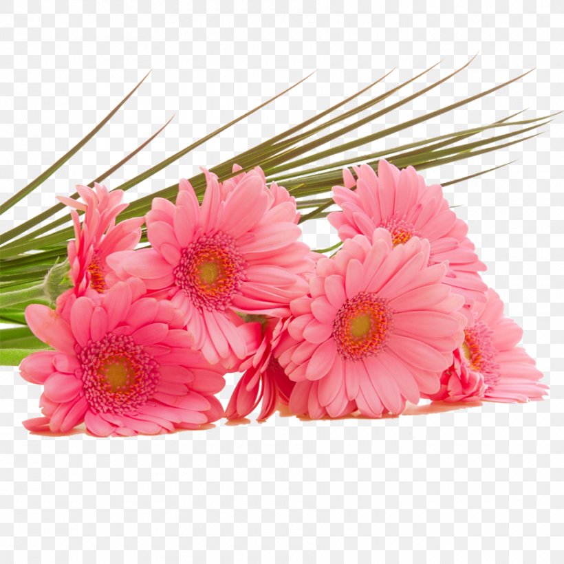 High-definition Television Pink Flowers Wallpaper, PNG, 900x900px, 4k Resolution, Highdefinition Television, Artificial Flower, Chrysanths, Cut Flowers Download Free