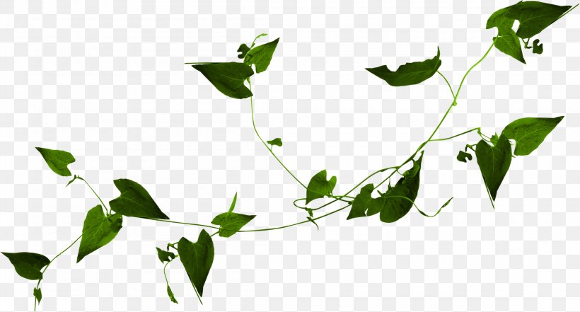 Lion Flowering Plant Plant Stem Clip Art, PNG, 2200x1184px, Lion, Branch, Facebook, Facebook Inc, Flora Download Free