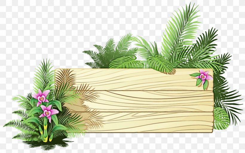 Palm Tree Drawing, PNG, 1368x855px, Watercolor, Arecales, Branch, Drawing, Flower Download Free
