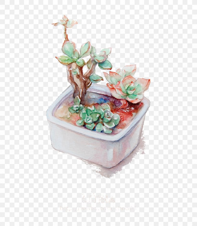 Succulent Plant Watercolor Painting Illustration, PNG, 875x1000px, Succulent Plant, Cactaceae, Ceramic, Colored Pencil, Drawing Board Download Free