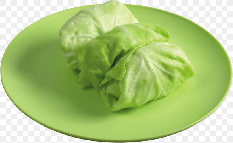 Cabbage Roll Leaf Vegetable Food, PNG, 3164x1942px, Cabbage, Brassica Oleracea, Cabbage Roll, Dish, Dishware Download Free