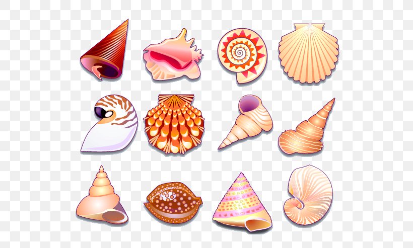 Seashell Shellfish Icon, PNG, 587x493px, 3d Computer Graphics, Seashell, Black And White, Conch, Conchology Download Free
