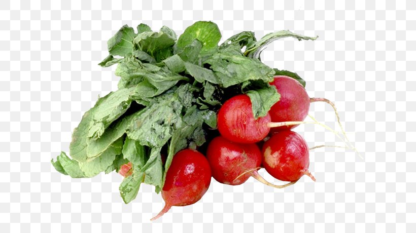 Garden Radish Black Spanish Radish Vegetable Fruit Salad, PNG, 639x460px, Garden Radish, Auglis, Black Spanish Radish, Carrot, Cucumber Download Free