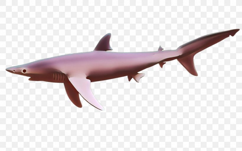 Shark, PNG, 1024x639px, Cartoon, Carcharhiniformes, Cartilaginous Fish, Fin, Fish Download Free