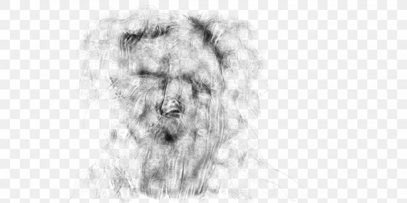 Snout Dog Line Art Fur Sketch, PNG, 1440x719px, Snout, Artwork, Black And White, Canidae, Carnivoran Download Free