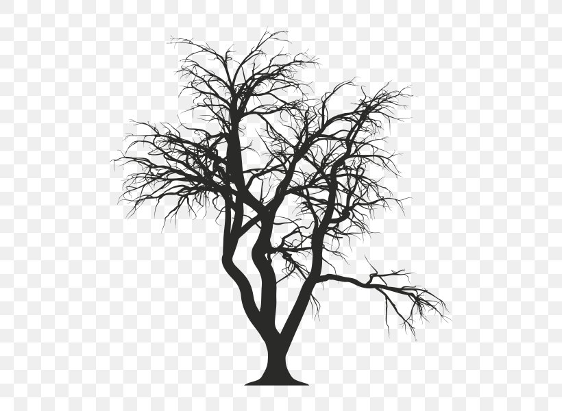 Tree Drawing Photography, PNG, 600x600px, Tree, Art, Black And White, Branch, Deciduous Download Free