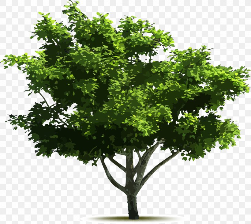 Tree Euclidean Vector Adobe Illustrator, PNG, 1322x1179px, New York City, Aged Care, Allendale, Arborist, Assisted Living Download Free