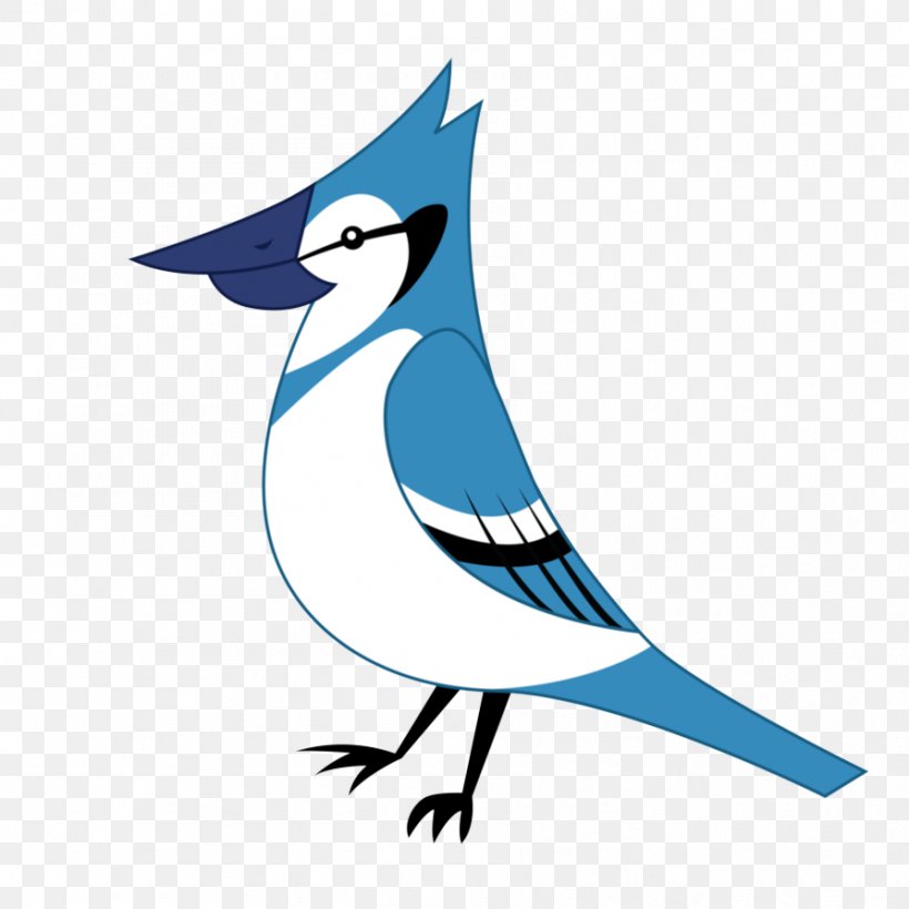 Bird Blue Jay Jay Songbird Beak, PNG, 894x894px, Bird, Beak, Blue Jay, Bluebird, Jay Download Free
