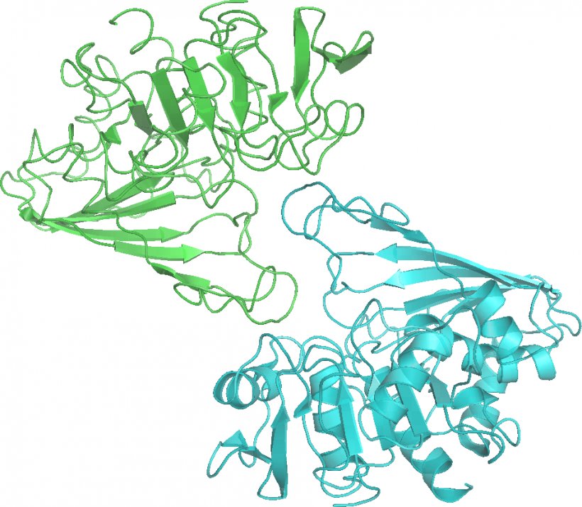 Glyceraldehyde 3-phosphate Dehydrogenase Biology Nicotinamide Adenine Dinucleotide Clip Art, PNG, 946x826px, Biology, Adenosine Triphosphate, Area, Art, Artwork Download Free