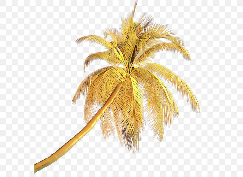 Palm Tree, PNG, 592x600px, Cartoon, Arecales, Coconut, Fashion Accessory, Feather Download Free