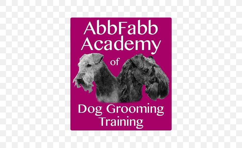 Schnoodle Puppy Schnauzer Dog Breed Abbfabb Academy Of Dog Grooming Training, PNG, 500x500px, Schnoodle, Animal, Breed, Carnivoran, Dog Download Free