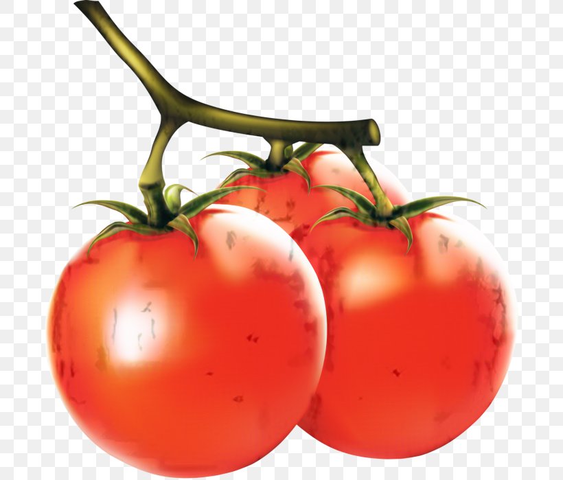 Flower Bush, PNG, 690x699px, Plum Tomato, Apple, Barbados Cherry, Bush Tomato, Cherry Tomatoes Download Free