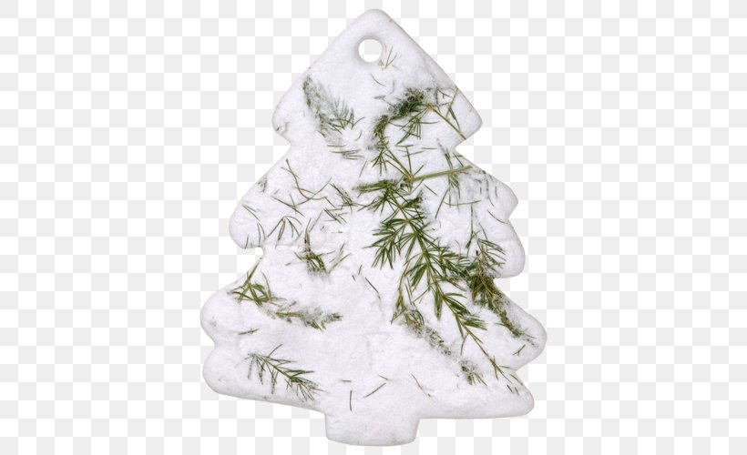 Seed Paper Fir Pine Flower, PNG, 500x500px, Seed, Branch, Christmas Decoration, Christmas Ornament, Christmas Tree Download Free