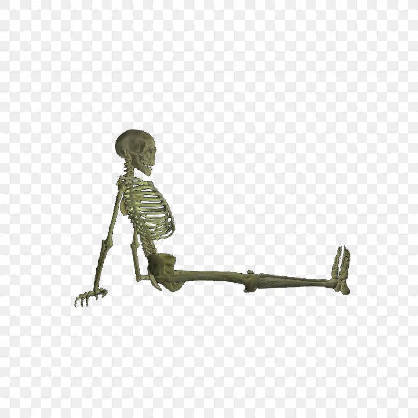 Skeleton Bone Fracture Skull, PNG, 1024x1024px, Skeleton, Bone, Bone Fracture, Enderman, Figurine Download Free