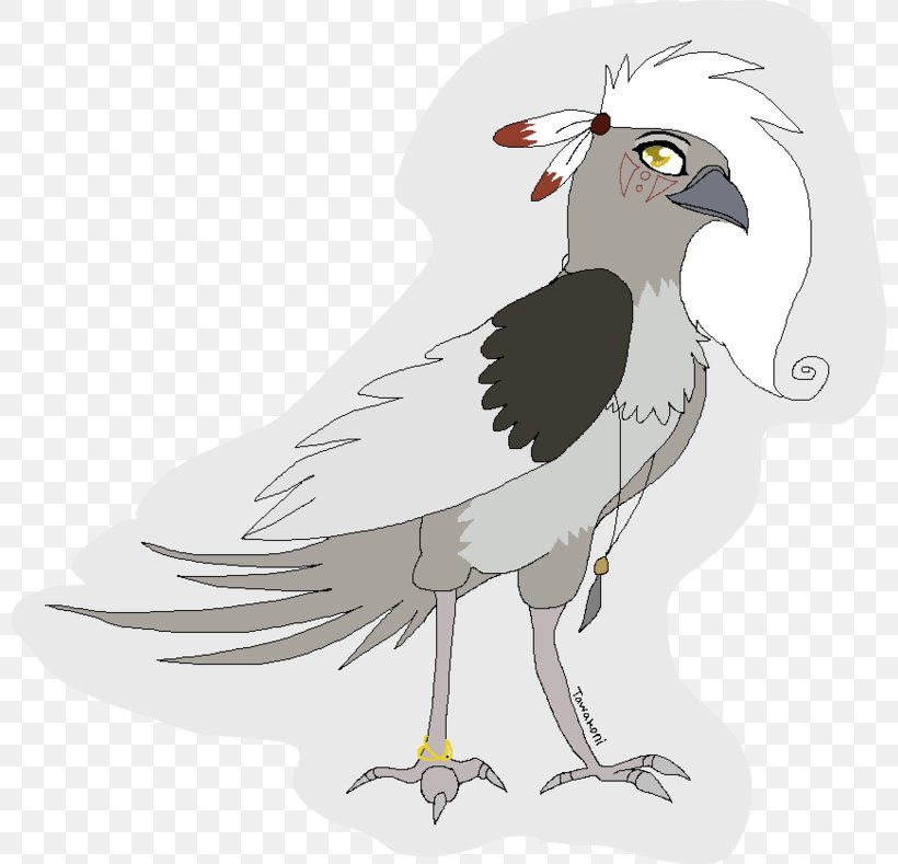Vulture Beak Cartoon Feather, PNG, 800x789px, Vulture, Beak, Bird, Bird Of Prey, Cartoon Download Free