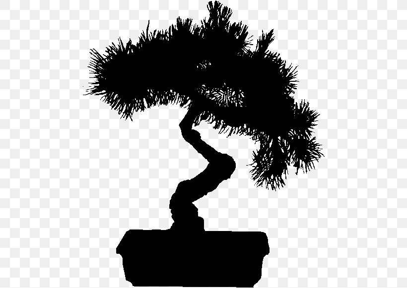 Bonsai Tree Clip Art Plants Chinese Elm, PNG, 491x581px, Bonsai, Art, Chinese Elm, Elm, Gardening Download Free