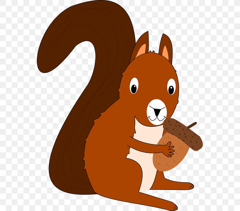 Clip Art Squirrel Image Vector Graphics, PNG, 567x720px, Squirrel, Carnivoran, Cartoon, Cat Like Mammal, Chipmunk Download Free
